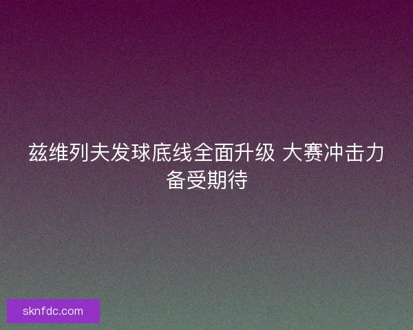 兹维列夫发球底线全面升级 大赛冲击力备受期待 兹维列夫发球底线全面升级 大赛冲击力备受期待
