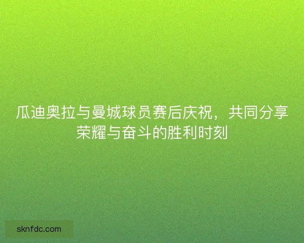 瓜迪奥拉与曼城球员赛后庆祝，共同分享荣耀与奋斗的胜利时刻