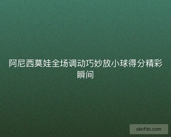 阿尼西莫娃全场调动巧妙放小球得分精彩瞬间