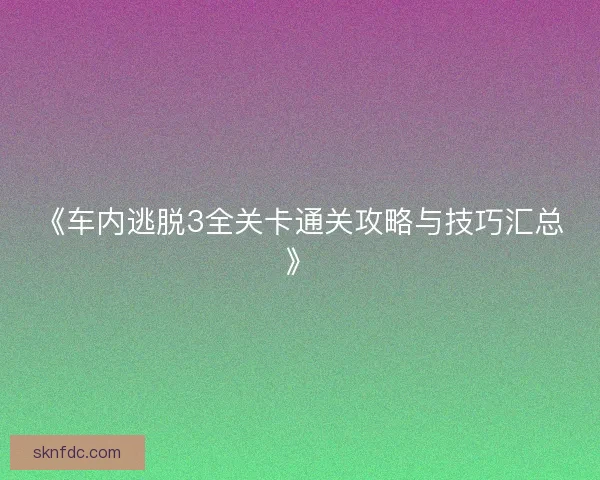 《车内逃脱3全关卡通关攻略与技巧汇总》