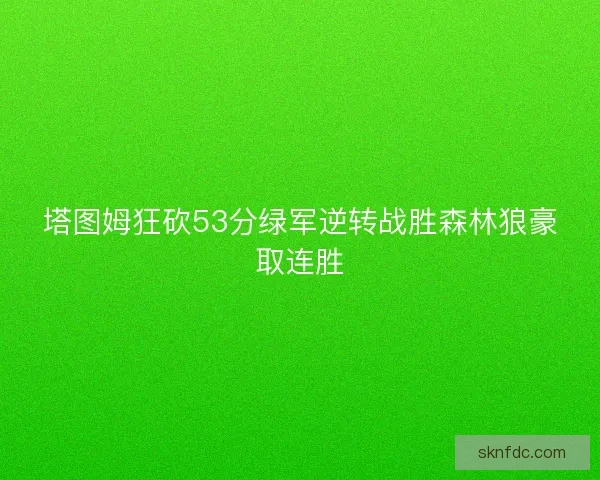 塔图姆狂砍53分绿军逆转战胜森林狼豪取连胜