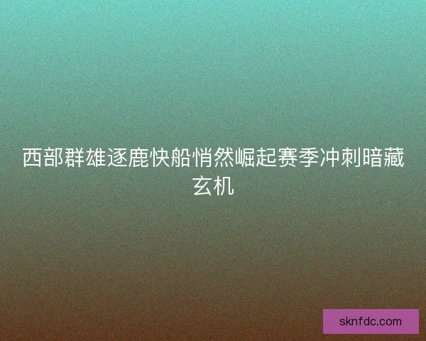 西部群雄逐鹿快船悄然崛起赛季冲刺暗藏玄机