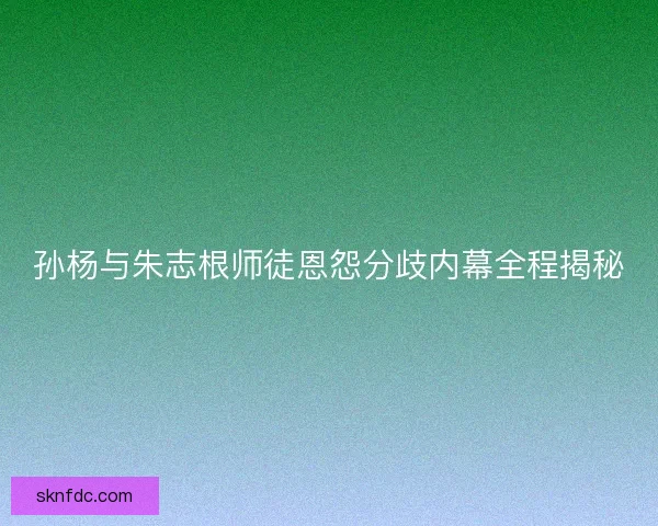 孙杨与朱志根师徒恩怨分歧内幕全程揭秘