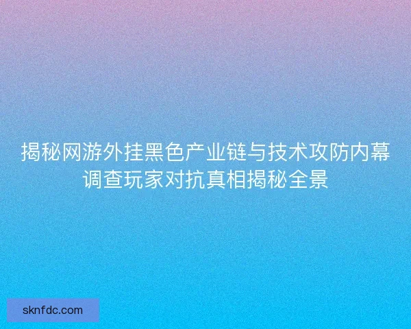 揭秘网游外挂黑色产业链与技术攻防内幕调查玩家对抗真相揭秘全景