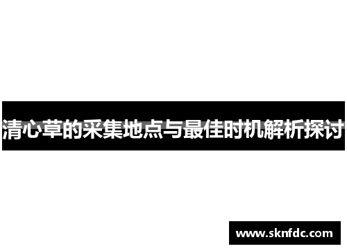 清心草的采集地点与最佳时机解析探讨