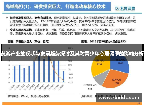 黄游产业的现状与发展趋势探讨及其对青少年心理健康的影响分析